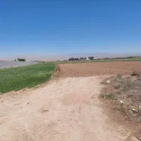 زمین