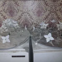 لوستر