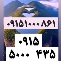 رند طلایی، بیلبوردی09003000001|سیم‌کارت|مشهد, جنت|دیوار