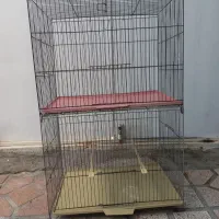 قفس قناری