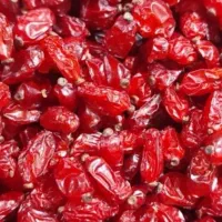 حبوبات محلی خشکبار گردو زرشک‌ کشمش انجیر|خوردنی و آشامیدنی|نیشابور, شهرک بهداری|دیوار