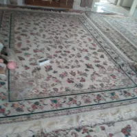 فرش در حد نو