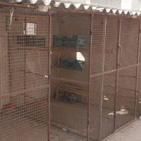 گنجه کبوتر|لوازم جانبی حیوانات|ری, حمزه‌آباد|دیوار