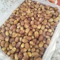 خرمازاهدی درجه یک امسالی