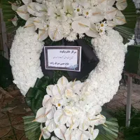 تاج گل|خدمات پذیرایی، مراسم|پرند, فاز ۶|دیوار