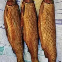 ماهی دودی خشک قیمت دونه ای