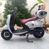 فروش پاکشتی ms1