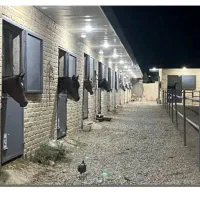 پانسیون اقتصادی و آموزش اسب (کردان)