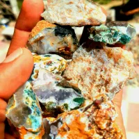 عقیق شجر هفت رنگ