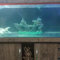 اکواریوم سالم