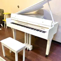 پیانو گرند اجاره روزانه