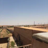 دامداری با پروانه و باغ پسته
