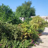 اجاره منزل مسکونی|اجارهٔ خانه و ویلا|جیرفت, |دیوار