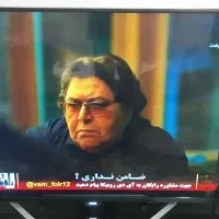 تلویزیون تصویری