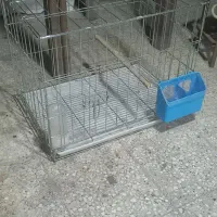 قفس تاشو جفت کن کبوتر