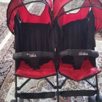 کالسکه دوقولو دلیجان