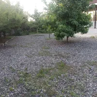 خانه ویلایی|فروش خانه و ویلا|تولم شهر, |دیوار