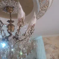 جفت عروس هلندی آلبینو