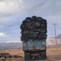 خریدار ضایعات نوار تیپ|خدمات باغبانی و درختکاری|محلات, |دیوار