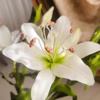 ‌گلهای دست ساز منعطف چینی