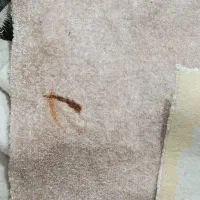 پلاز موکت