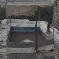 قفس مرغ و پرنده