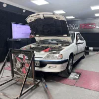 ریمپ وداینو ۲۰ سال سابقه