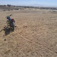 باغ انگور و زمین مسکونی ودامداری  شهر مالوجه|فروش زمین و ملک کلنگی|قروه, |دیوار