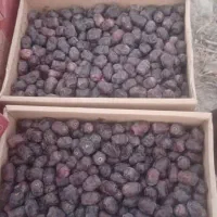 خرمای درجه یک دانه درشت فله ای ۵کیلو