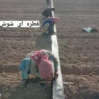 قطره ای باغ ولوله کشی زمین کشاورزی|خدمات باغبانی و درختکاری|اندیمشک, |دیوار