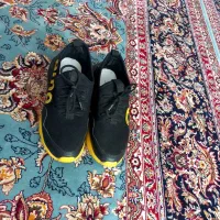 کفش نو|کیف، کفش، کمربند|سبزوار, شهدا|دیوار