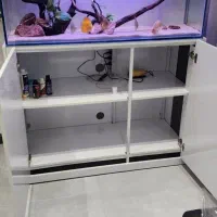 فروش آکواریوم حرفهای ریملس