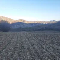 زمین کشاورزی|فروش دفتر صنعتی، کشاورزی، تجاری|جوانرود, |دیوار