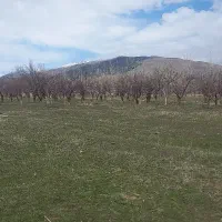 فروش-زمین-مسکونی