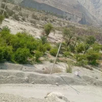 فروش یک زمین کشاورزی وباغ خانه مسکونی