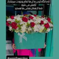 گل آسمین|گل مصنوعی|زاهدان, |دیوار