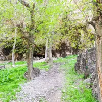 تور یک روزه دره آل