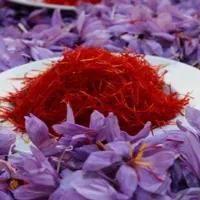 کازرون مرکز