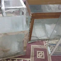 4 عدد اکواریوم|ماهی|مشهد, شهید هاشمی نژاد|دیوار
