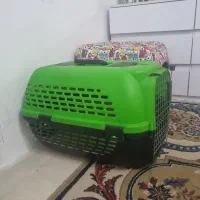باکس سگ
