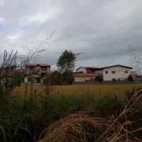 راه جدا  از مالک و دروازه مستقل فجر۲۱ پالوجده|اجارهٔ خانه و ویلا|چالوس, |دیوار