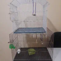 قفس پرنده