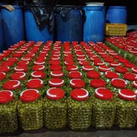 زیتون وروغن زیتون صدرصد تضمینی