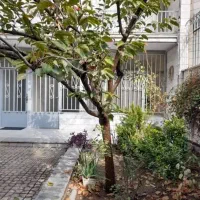 کلنگی ۱۶۳ متر سهروردی جنوبی سلیمان خاطر