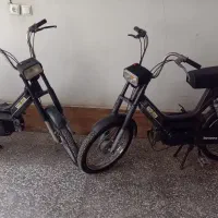 دوعدد براوو