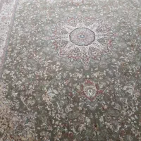 فرش یاسین|فرش|شهرضا, |دیوار