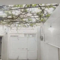 ویلایی نبوت