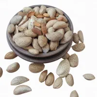 بادام سنگی ایرانی مخلوط خشکبار قدوس|خوردنی و آشامیدنی|بوانات, |دیوار