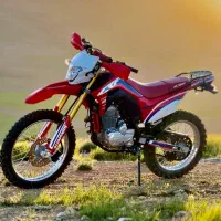 تریل باسل ۲۵۰ درحک‌خشک طرح crf