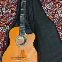 گیتار خوش صدای کاتوی دیاموند c2